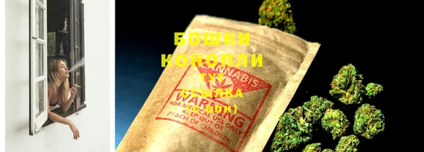 ПСИЛОЦИБИНОВЫЕ ГРИБЫ Козловка